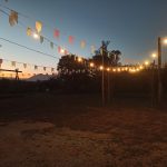 IMG_20240621_174957(3)